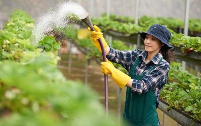 Chăm sóc tận vườn