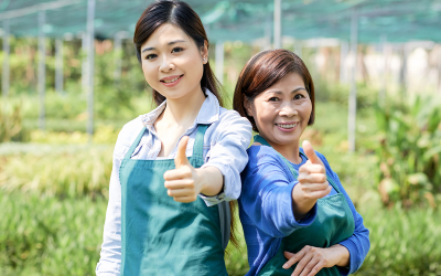 Nhận làm ăn chia