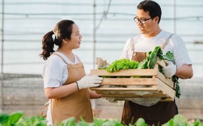 Tư vấn thiết kế vườn cây ăn trái