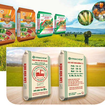 Phân Lân nung chảy dạng bột mịn ( 15%-19% ) Văn Điển