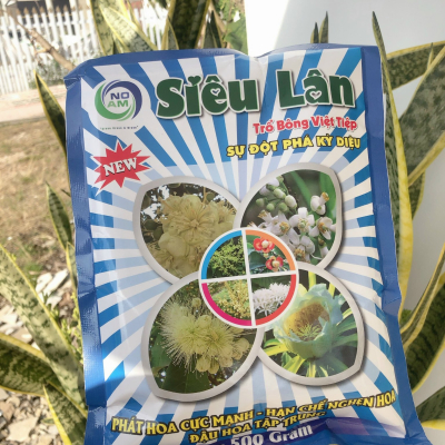 Siêu lân (Gói)