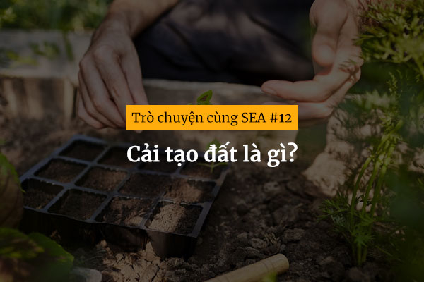 [Trò chuyện cùng SEA #12] Cải tạo đất là gì?