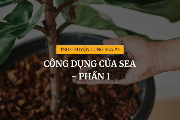 [Trò chuyện cùng SEA #4] Công dụng của SEA - Phần 1