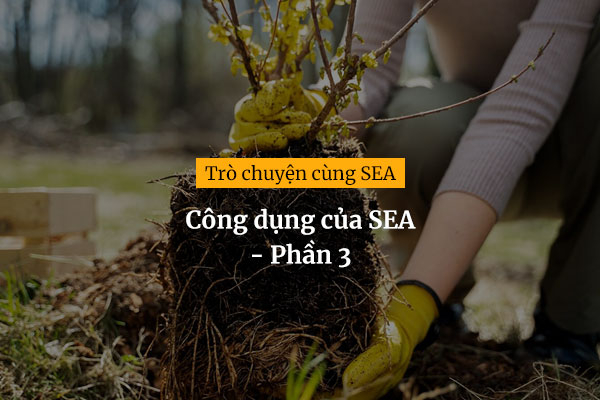 [Trò chuyện cùng SEA #6] Công dụng của SEA - phần 3