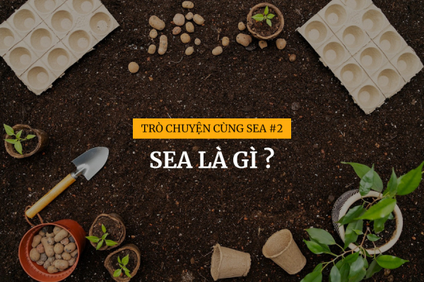 [Trò chuyện cùng SEA #2] SEA là gì?