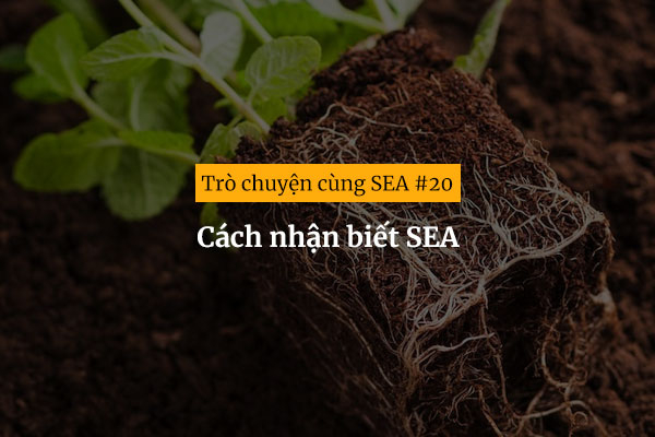 [Trò chuyện cùng SEA #20] Cách nhận biết SEA