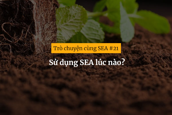 [Trò chuyện cùng SEA #21] Sử dụng SEA lúc nào?